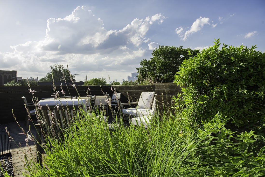 Brooklyn Rooftop Garden